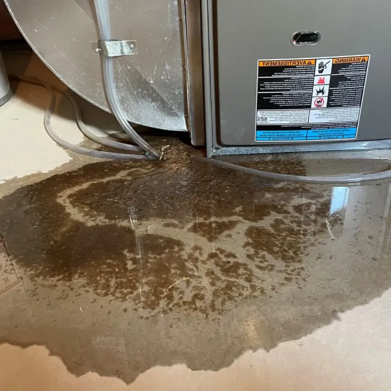 Pipe Burst and Leak Restoration in Millvale, PA