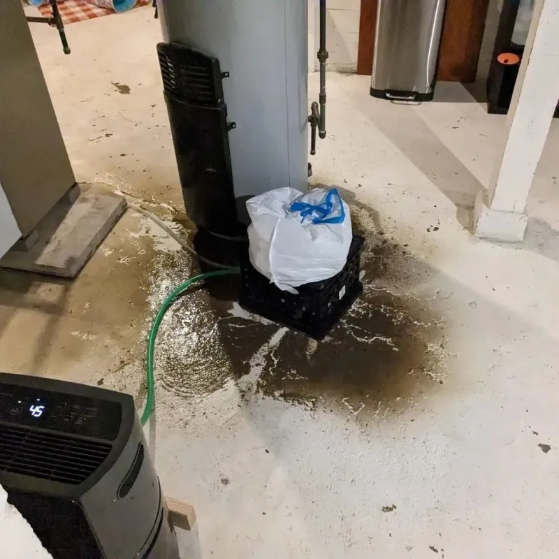Sewage Backup Cleanup Service in Millvale, PA
